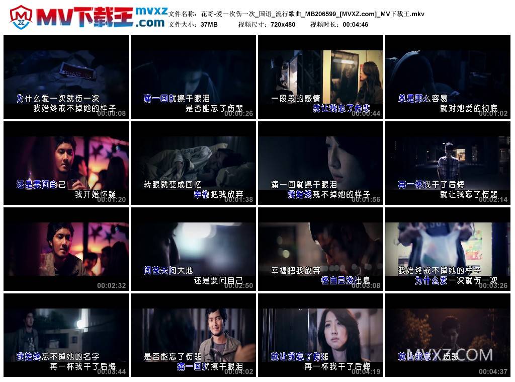 花哥-爱一次伤一次_国语_流行歌曲_MB206599